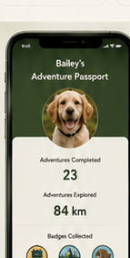 Adventure Passport example